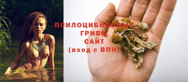a pvp Заволжск