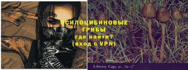 a pvp Заволжск