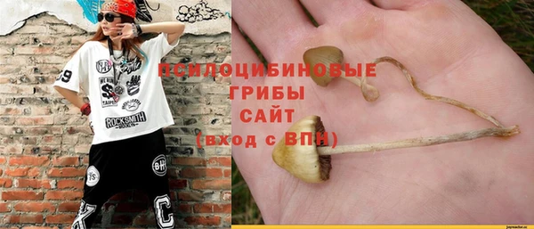 соль курить ск Заводоуковск