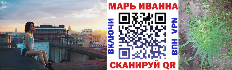 Купить закладки  Электрогорск  Канабис сатива 